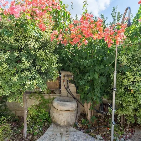 Almond Grove * Simou