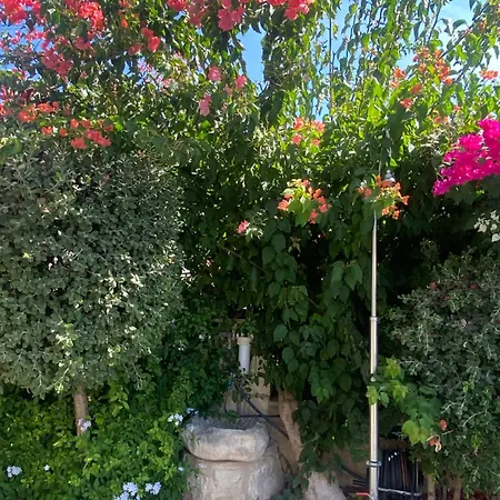 וילה Almond Grove Simou