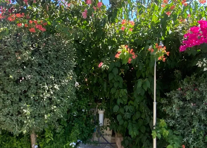 Villa Almond Grove Simou