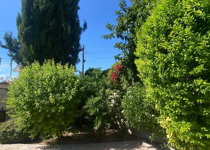 Almond Grove Villa *