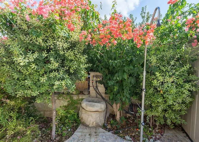 Almond Grove * Simou